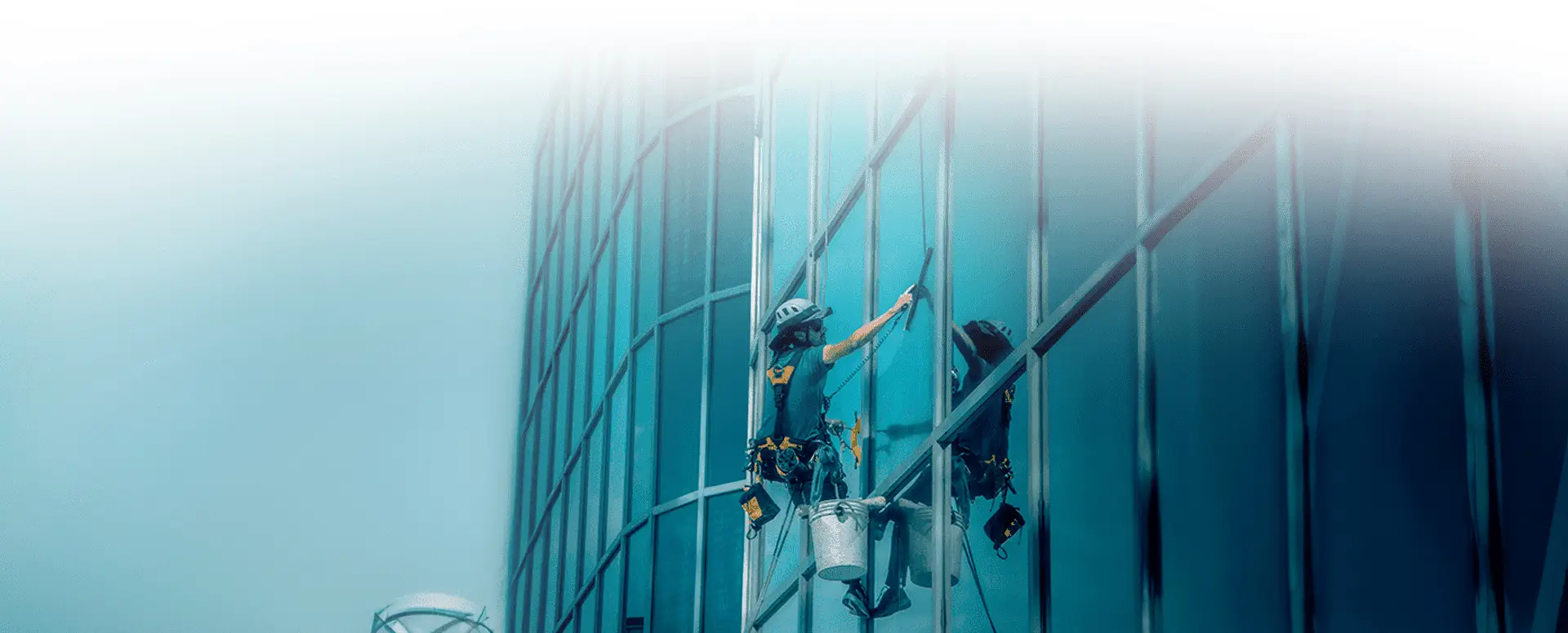 Oakville window-cleaning project 6